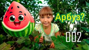 02 Арбузики выросли у Юли в деревне теплице Подмосковья. Первый урожай! 🍉 Вырастили сами!