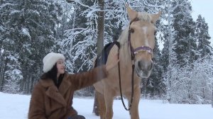 Красная Огненная Лошадь - символ 2026 года по восточному календарю