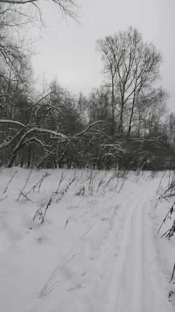 НА ЛЫЖАХ / НА МАРАФОНЕ / VLOG смотреть онлайн