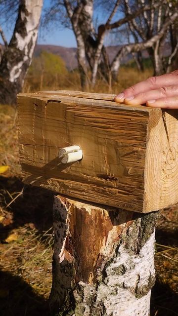 Сделал супер молот в лесу! #кириллмультитул #выживание #лайфхаки #кемпинг #бушкрафт смотреть онлайн