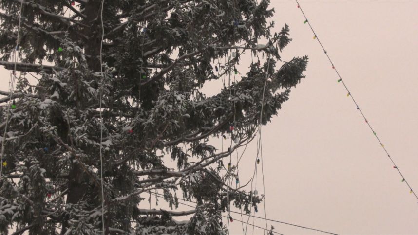 Жители регионов РФ критикуют городские украшения и елки от местных властей