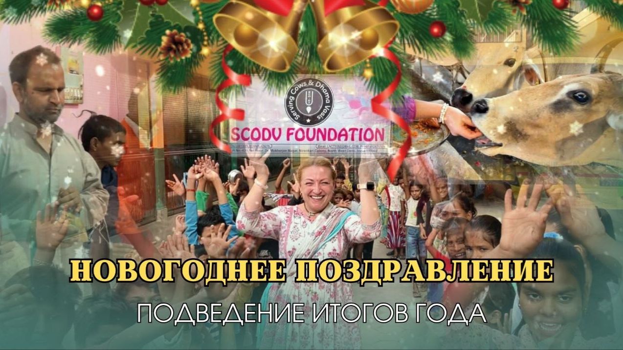 Новогоднее Поздравление | Подведение итогов 2025 г. смотреть онлайн