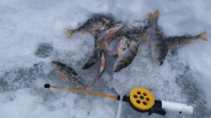 Любая рыбалка только в радость.