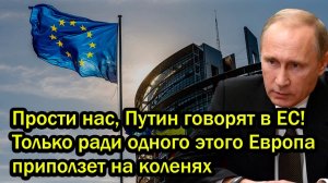 Прости нас, Путин говорят в ЕС! Только ради одного этого Европа приползет на коленях