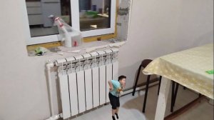 лайк семка 2