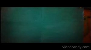 летающие звери