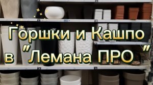 Обзор Горшков и Кашпо в "Лемана Про" 30 декабря 2025г.