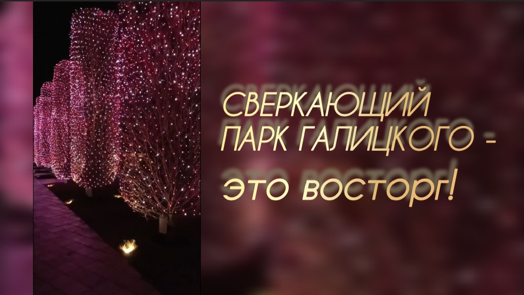 Сверкающий Новогодний Парк Галицкого✅ смотреть онлайн