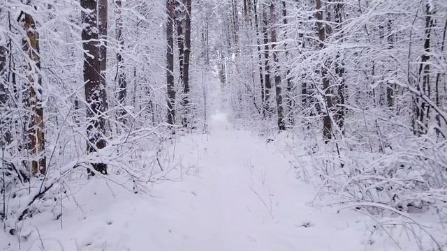 Настоящая русская зима вернулась ❄️ 26 декабря 2025г #3 смотреть онлайн