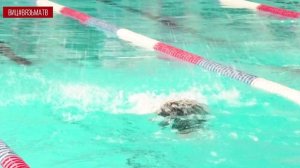 Предновогодние соревнования по плаванию на Кубок Главы Вяземского округа прошли в Вязьме