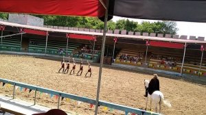 Под музыку Короля и шут пляшит на рыцарском турнире в Сукко