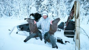 СТРАННЫЕ СИТУАЦИИ В МОРОЗ ПРОИСХОДЯТ / ОХОТА НА ГЛУХАРЯ С МЕЛКАШКОЙ / МАГАЗИН ЗАКЛИНИЛО КАК НАЗЛО.