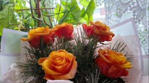 Всё зависит от сердец, что Жизнь творят!