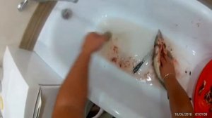 Как правильно чистить осетра