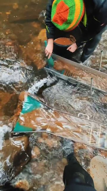 Как найти золото смотреть онлайн