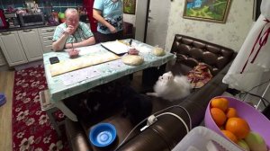 Влог от 22.12.2021