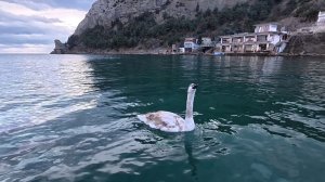 Новый Свет. Крым сегодня