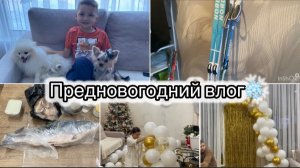 ЛЫЖИ на Новый год🎉 приехала РОДНЯ// не вылечили ЗУБ//  ПРОДУКТЫ на Новый год// ФОТОЗОНА🔥