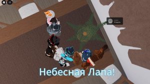 ВИДЕО С ПОДПИСЧИКАМИ НОВЫЙ ГОД!