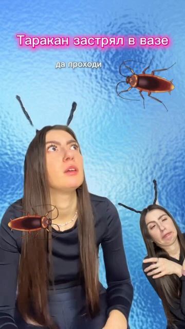 Петрович смотреть онлайн