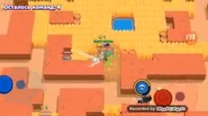 браво Стаса