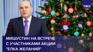 Мишустин на встрече с участниками акции "Елка желаний"