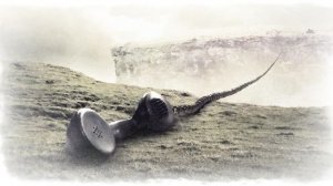 Жизнь даёться только раз