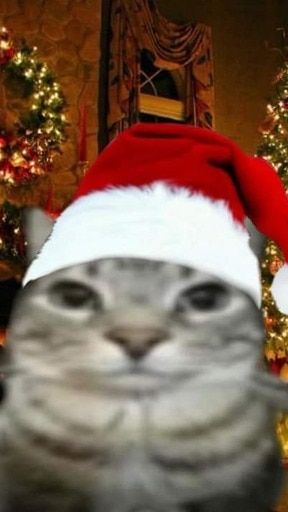 Играем в роблокс