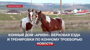 Конный дом «Арион»: верховая езда и тренировки по конному троеборью