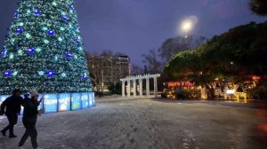 Такого никто не ожидал - Ялту в 2026 завалило снегом. Такого Нового года никто не ожидал.