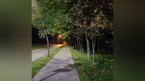 Сентябрь 2025