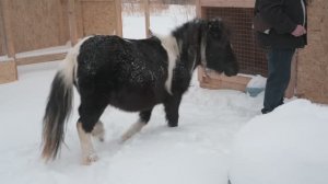Вновь удивили нас! Приехали к друзьям в деревню, у них опять пополнение