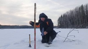 Проверка самоловок на озере 27 декабря.