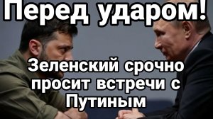ПЕРЕД УДАРОМ ЗЕЛЕНСКИЙ СРОЧНО ПРОСИТ ВСТРЕЧУ С ПУТИНЫМ