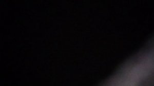 Это всё моё родное