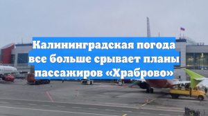 Калининградская погода все больше срывает планы пассажиров «Храброво»