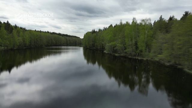Глава Егорьевска поздравил жителей муниципального округа с Новым годом смотреть онлайн