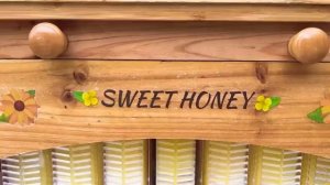 Настя Мэгги и Наоми знакомятся с профессиями [get.gt]