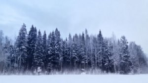 Звук, рожденный в сумраке. Русский Рок, Рок музыка, Shadows. 2025