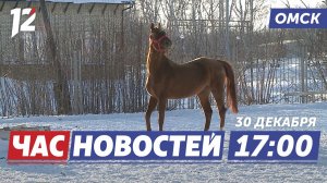 Как привлечь удачу 2026 / Новогоднее чудо / Медпомощь в праздничные дни. Новости Омска