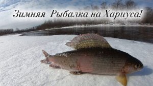 Зимняя Рыбалка Декабря 2025-2026!!! На Хариуса!!!