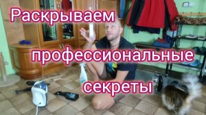 Противная зима на ЮГЕ/Какими средствами мы всё очищаем на РАБОТЕ/Драка КОТОВ