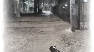 Нам жалко время