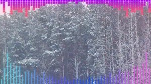 С НГ крч. 2025 - 2026.