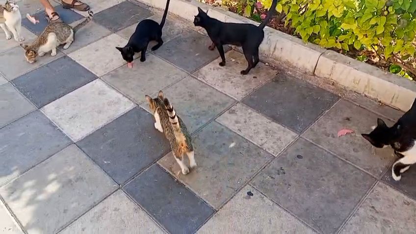 Как приготовить новогодний завтрак