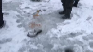 поимки форели на ратлин