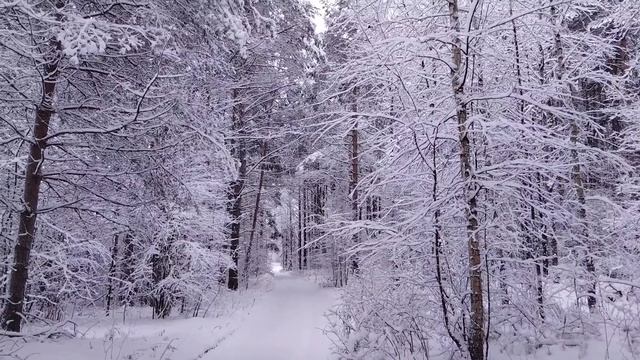 Настоящая русская зима вернулась ❄️ 26 декабря 2025г #1 смотреть онлайн