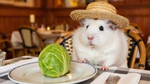 РАЗЫЛЕКАТЕЛЬНОЕ ВИДЕО ДЛЯ ДЕТЕЙ