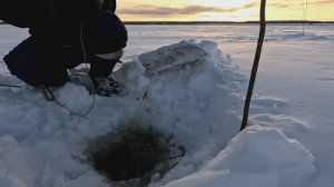 Проверка удочек.27 день С