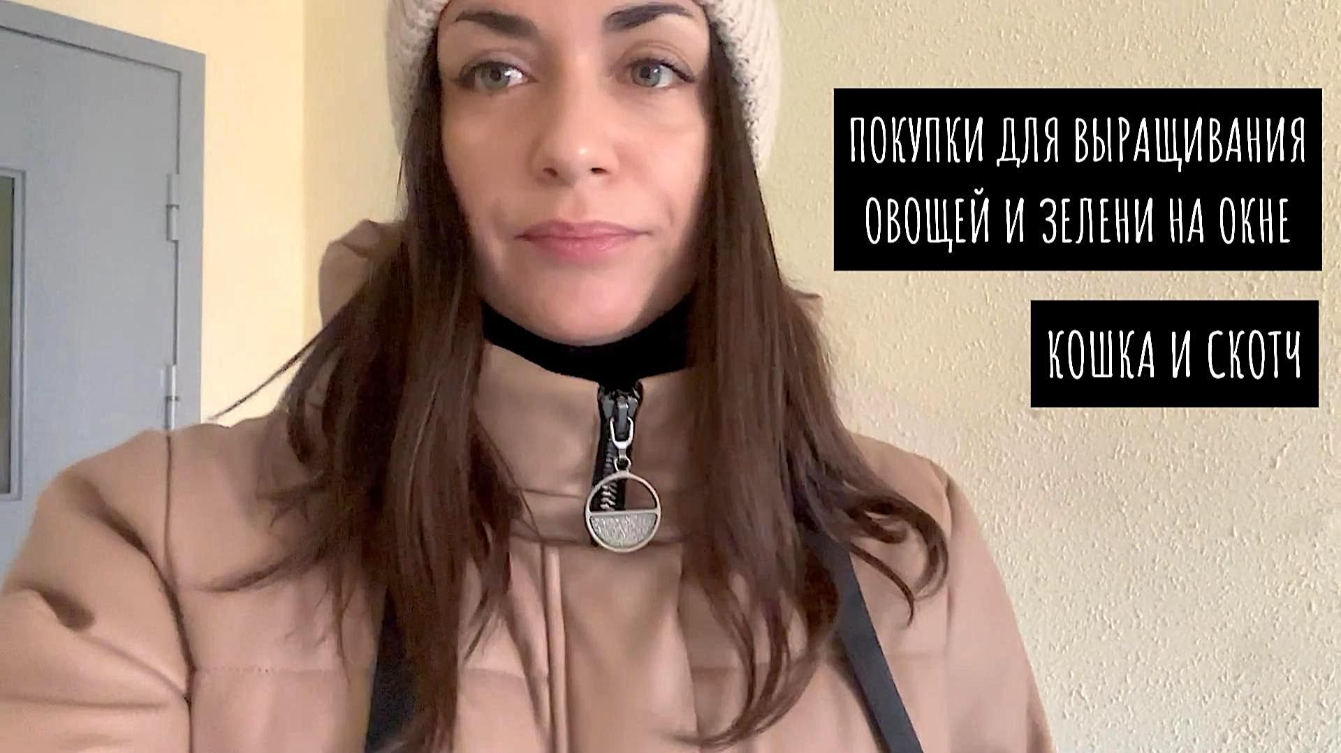 Распаковка - всё для выращивания овощей на окне / Отучаю кошку прыгать куда нельзя / Фитильный полив смотреть онлайн